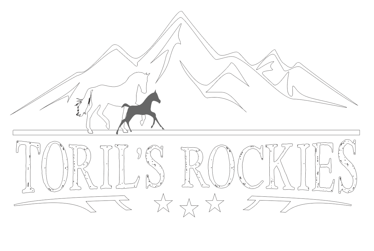 Toril's Rocky Mountain Horses